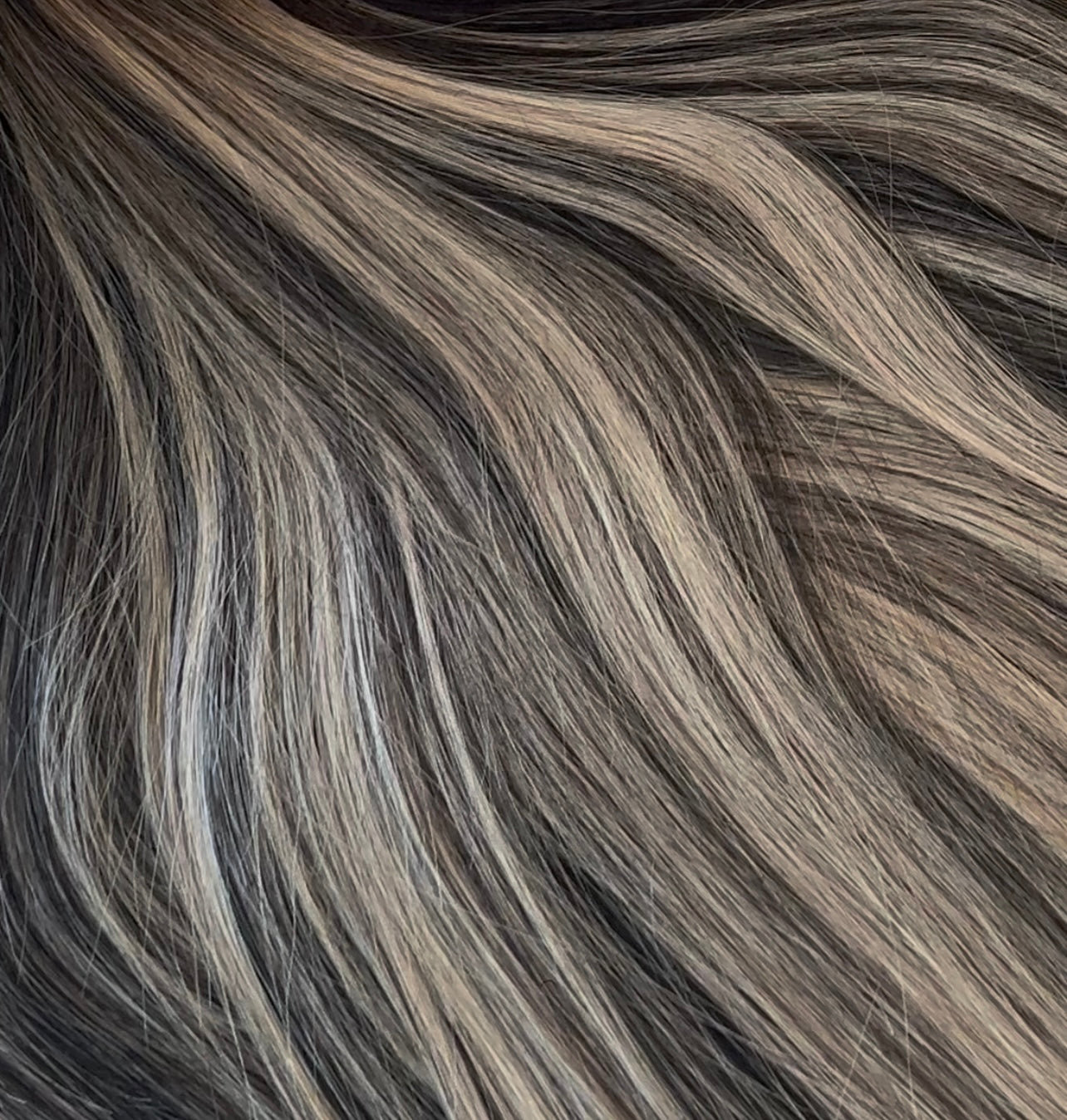 Highlighted Dreams - Single Bundles