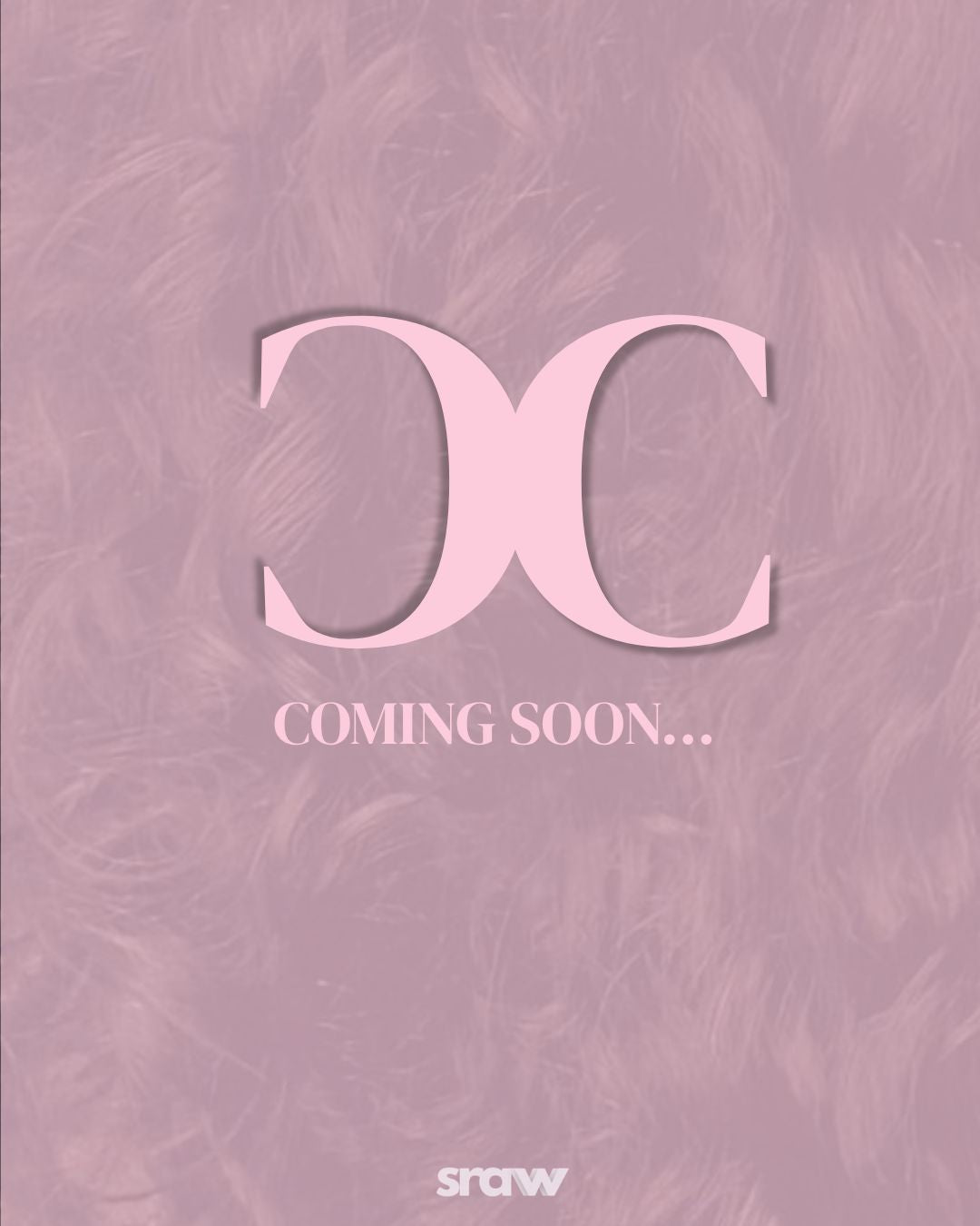 CC HD Closures - Raw Indian Curly