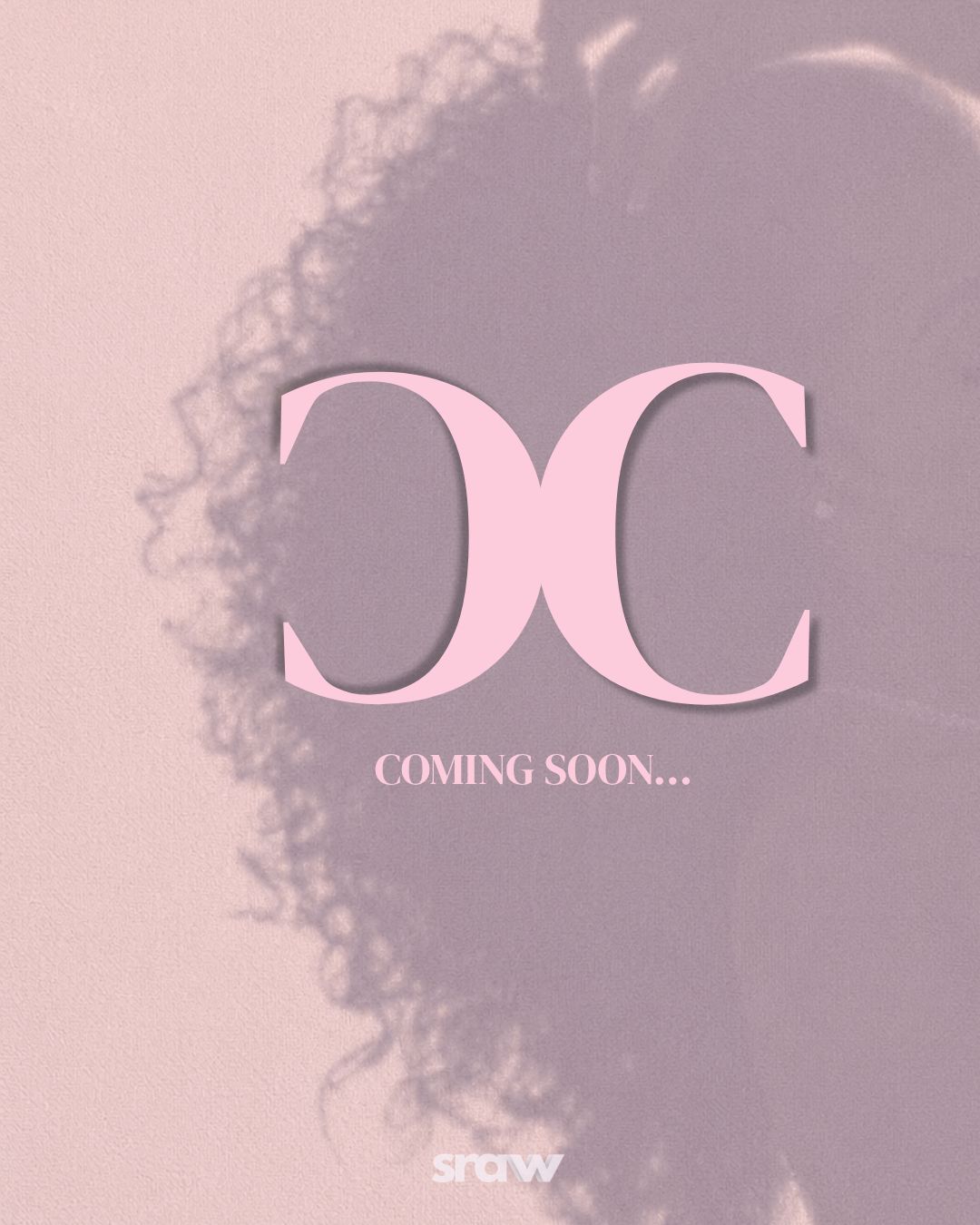 CC HD Frontals - Raw Indian Curly